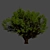 Tamarindus Tree 3D Model Collection 3D model small image 7