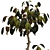  Max 2015 Indoor Plant Set 3D model small image 2