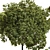  Max 2015 Indoor Plant Set 3D model small image 5