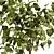  Max 2015 Indoor Plant Set 3D model small image 6