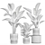 Exotic Plant Collection Concrete Decor 3D model small image 6