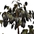Indoor Plant 3D Model Set 3D model small image 2