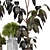 Indoor Plant 3D Model Set 3D model small image 5