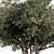 Crimson Wood Set 178 3D model small image 3