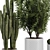 Botanical Duo: Cactus & Palm 3D model small image 3