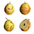 Pear-fection: 4 Realistic Pears 3D model small image 1