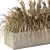 Natural Outdoor Pampas Grass Decor 3D model small image 2