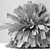 Green Oasis Plants Collection 3D model small image 5