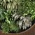 Corona Indoor Vertical Garden Set 3D model small image 3