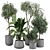 Luxury Indoor Plant Model 322 3D model small image 1