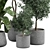 Luxury Indoor Plant Model 322 3D model small image 2