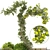 Garden Tree & Bush Set 153 3D model small image 4