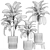 Tropical Dieffenbachia Plant in Concrete Pot 3D model small image 6