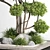 Modern Indoor Plant Set 012 3D model small image 4