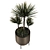 Modern Indoor Plant with Planter 3D model small image 3