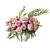 Elegant Floral Bouquet Set 3D model small image 3