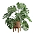 Tropical Monstera Plant Stand Pot 3D model small image 1