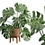 Tropical Monstera Plant Stand Pot 3D model small image 2
