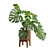 Tropical Monstera Plant Stand Pot 3D model small image 4