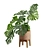 Tropical Monstera Plant Stand Pot 3D model small image 5