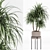  Indoor Plant Set 023 3D model small image 5