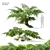 Twin Tree Fern Plants 3.5m 3D model small image 1