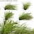 Complete 3D Plant Model Collection 3D model small image 2