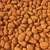 Polygon Vertex 3D Model Textures 3D model small image 6