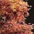 PBR Natural Tree 3D Model 3D model small image 2