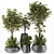 48 Potted Plants Bundle - Vray 3D model small image 1