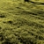 Field Meadow Scene with Scatter 3D model small image 1