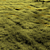 Field Meadow Scene with Scatter 3D model small image 2
