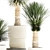 Exotic Yucca Plants in Stylish Pottery 3D model small image 5