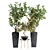 Stylish Indoor Orange Tree Set 3D model small image 2