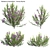 3D Plant Models Collection 3D model small image 2