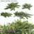 Versatile 3D Plant Model Collection 3D model small image 1