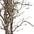 Autumn Tree Branches Concrete Vase 3D model small image 4
