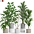  Botanical Collection 952 3D model small image 1