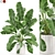 Lush Plants Collection 954 3D model small image 1