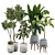 Lively Indoor Plant Collection 3D model small image 1