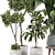 Lively Indoor Plant Collection 3D model small image 3