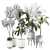 Lively Indoor Plant Collection 3D model small image 4