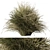 Feather Reed Grass Bundle Set 3D model small image 1