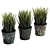 UV Unwrapped Indoor Plants Set 3D model small image 1