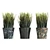 UV Unwrapped Indoor Plants Set 3D model small image 2