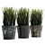 UV Unwrapped Indoor Plants Set 3D model small image 4