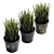 UV Unwrapped Indoor Plants Set 3D model small image 5