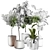 Blooming Indoor Plant Decor 3D model small image 4