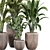 Tropical Plant Collection 3D Model 3D model small image 4