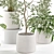 Eco Plant Collection: 607732 Polys 3D model small image 4